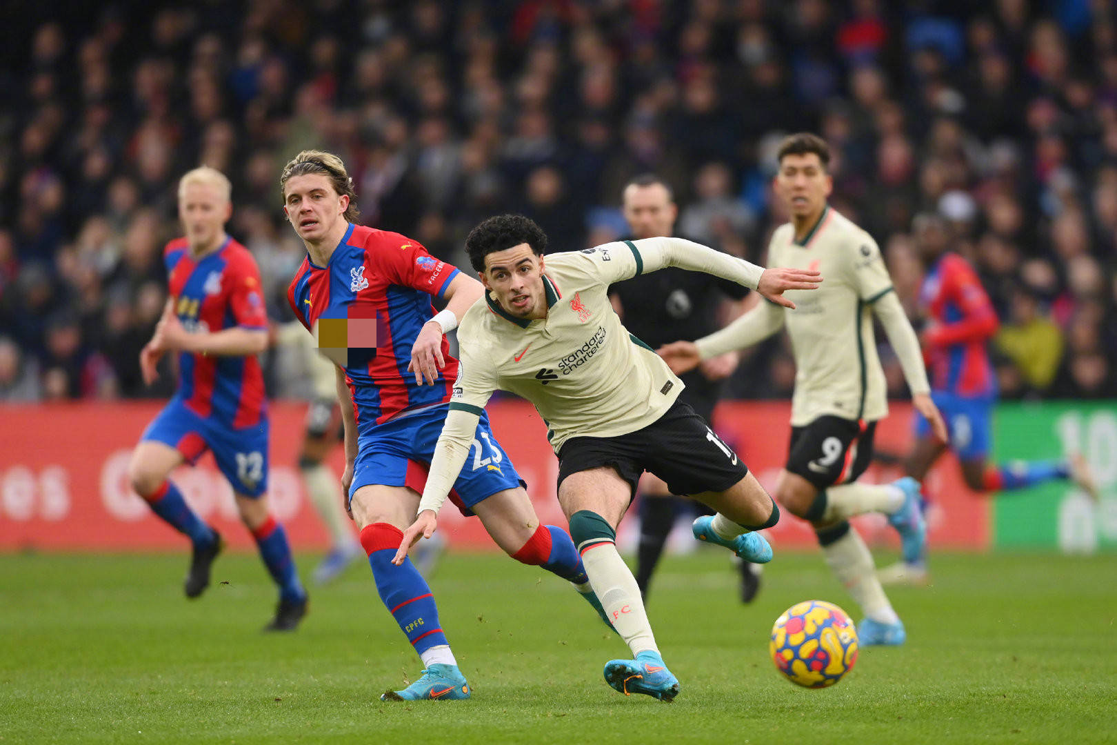 可以参考凯 可以参考凯